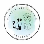 Clínica veterinaria FelisCan